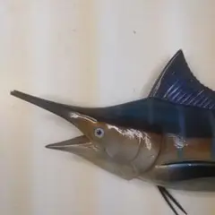 バショウカジキ　特注品　鼻先　少し欠けあり