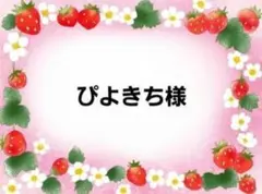 ぴよきちさん　アソート