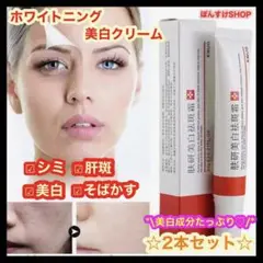 【新品】EBUG 研美白斑霜 シミ・肝斑・そばかす 美白クリーム2本