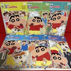 クレヨンしんちゃん　アニメ　DVD　8期　13巻〜18巻　6枚セット　38