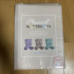 クマプリント6ポケットファイル／ラブトキシック（Lovetoxic）