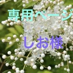 専用ページ　　しお様　　無害シリコンモールド