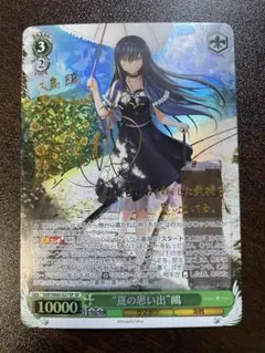 夏の思い出 鴎 sp psa10