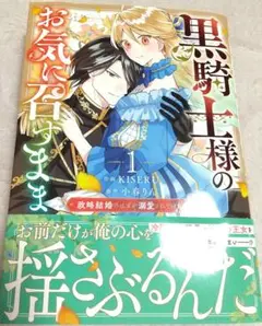 黒騎士様のお気に召すまま～政略結婚のはずが溺愛されています～ 1