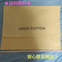 LOUIS VUITTON バッグ保存袋