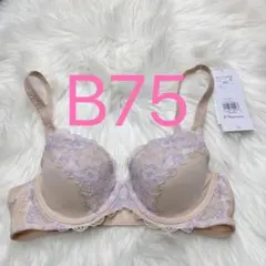 Item thumbnail for item 514745e0-e8f1-46a3-ac88-589175d2bd0f