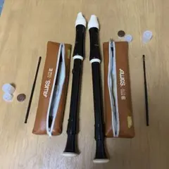 Item thumbnail for item 785bfe55-34c4-4d67-b276-b7450ef1b61d