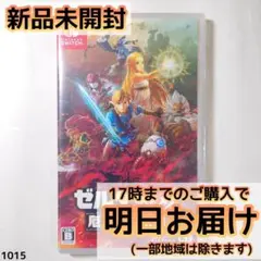 Switch ゼルダ無双 厄災の黙示録