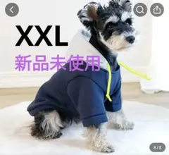 Item thumbnail for item 40bbb631-b028-4811-ae8d-f48615da95d0