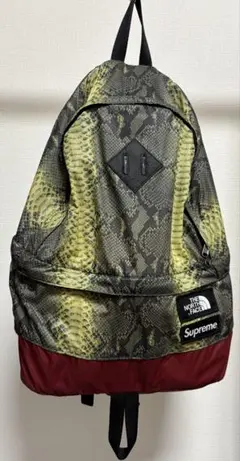 Supreme ノースフェイス Lightweight Day Pack
