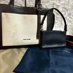 【付属品有】COLE HAAN コールハーン トートバッグ レザー マルチカラー