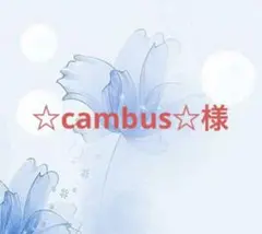 ☆cambus☆様 ベージュ38 ロングファー