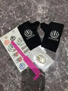 UVERworld 初代グローブ 未使用未開封 UVERworld 初代 グローブ