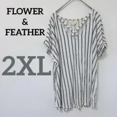 Item thumbnail for item 413007bd-0fb1-4b53-8864-121824113b46