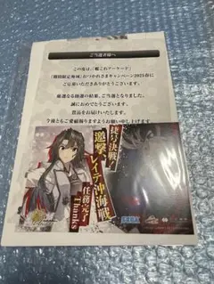レンジャー　瑞鶴　デッキケース2つセット Amazon.co.jp: 艦これアーケード デッキケース 限定 瑞鶴 IC