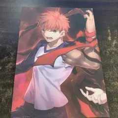 セイバー A4 ポスター 赤黒