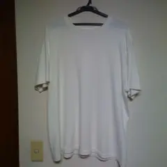 Hanes　ヘインズ　SHIRO　シロ　tシャツ