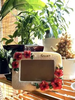Guamハイビスカス写真立て