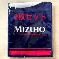 なでしこJAPAN タオルマフラー BLUE DREAM MATCH 2024