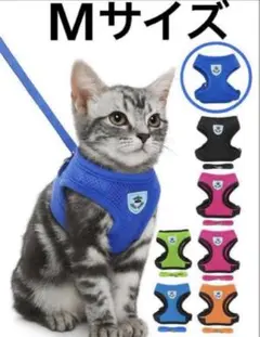 Item thumbnail for item 7ee1157e-db87-432e-8984-b939c506ea80