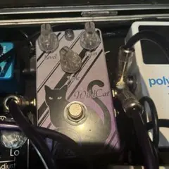 Item thumbnail for item 055f039f-b862-406a-8ba0-472e00e7124b