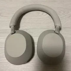 Item thumbnail for item 842a4f8d-f2b6-4f96-a049-ee8268a390b1