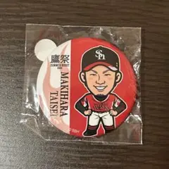 8 牧原大成 缶バッジ鷹祭ver.