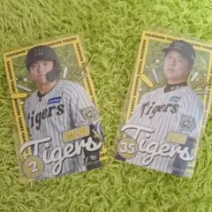阪神タイガース 梅野・才木 選手 F賞クリアカード