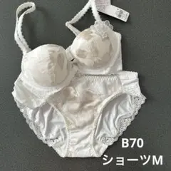 AMO'S STYLE by triumph ブラ・ショーツセット