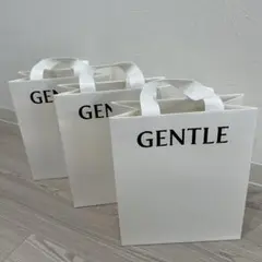 Item thumbnail for item b496bd74-8f4e-4610-b77b-cbd49d481d13