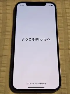 Simフリー Apple iPhone 12 パープル 本体 128gb