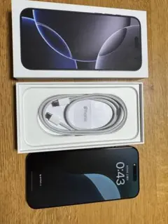 iPhone 16 Pro Max 256GB 中国版 無音シャッター 100%