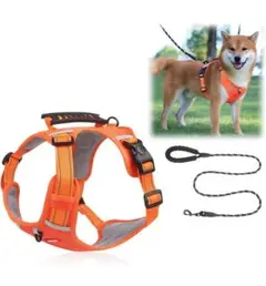 Item thumbnail for item da8731ea-e8da-4cdb-930f-67131da912c1