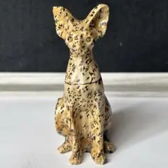 セール　ピクチャージャスパー　スフィンクスキャット