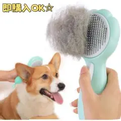 Item thumbnail for item 64a719d8-9ca9-42a0-8a46-36d9fad44dd8