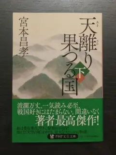 「天離り果つる国(下)」宮本 昌孝