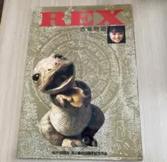 REX パンフレット
