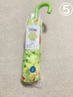 Item thumbnail for item 472775b0-0f3a-4ff0-a077-9d3e4732218a