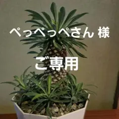 Item thumbnail for item 19322d49-64b7-4e75-a23f-181f50263132