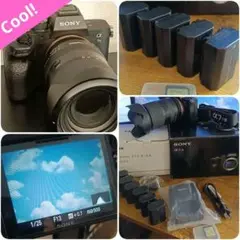 Item thumbnail for item 42c192ca-1c6c-43e1-8c28-522a8410d8f6