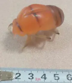 Item thumbnail for item a556c732-51c5-4a88-a955-b7f810a1af06