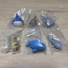 ならぶんです。 さめさん2 全6種 ガチャ サメさん サメ