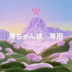 専用商品