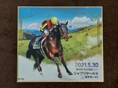 トレーディングmini色紙 2021年·春 GⅠ·GⅡ·GⅢ セレクション