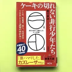 ケーキの切れない非行少年たち／宮口幸治