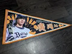 オリックスバファローズ 廣岡大志