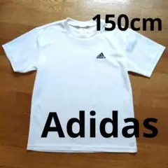 【未使用】adidas 白 Tシャツ 150