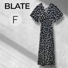 Item thumbnail for item df742ef2-4d18-49bb-89eb-2771a6cf9065