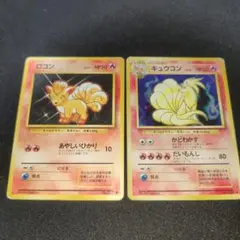 キュウコン セット