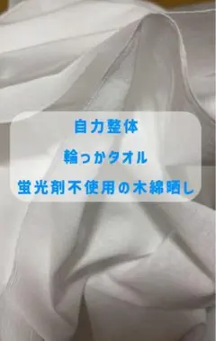 Item thumbnail for item bb12cb5d-d620-401b-a7e2-b31cff213cd0